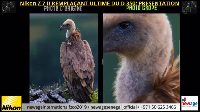 18 juin 2023 смотреть онлайн