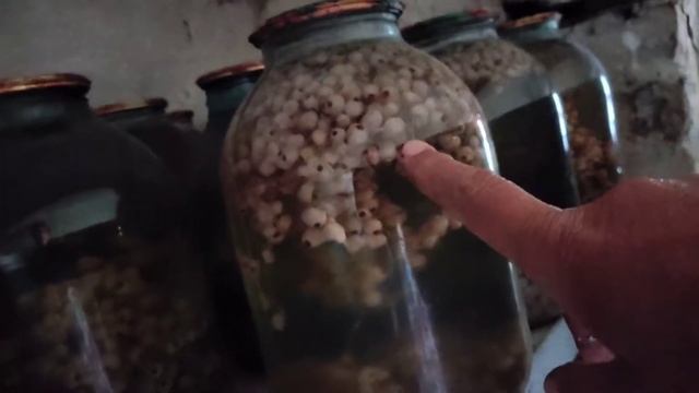 Как хранить продукты без холодильника. Выход есть из разных ситуаций. смотреть онлайн