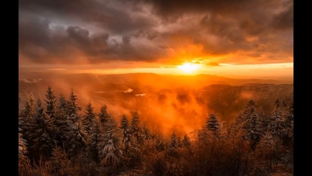 Релаксация по Джекобсону (КПТ/CBT) смотреть онлайн