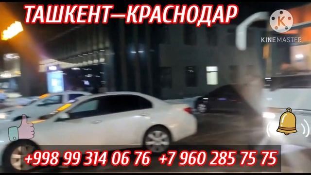 Ташкент Краснодар автобус ,Краснодар Ташкент автобус,Ташкент Ростов автобус #ташкент #краснодар смотреть онлайн