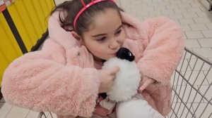 EYVAH !! WEDNESDAY ELİF SİNEMİN ODASINI ELE GEÇİRDİ !! ماما جابت بيبي - جنى مقداد | طيور الجنة