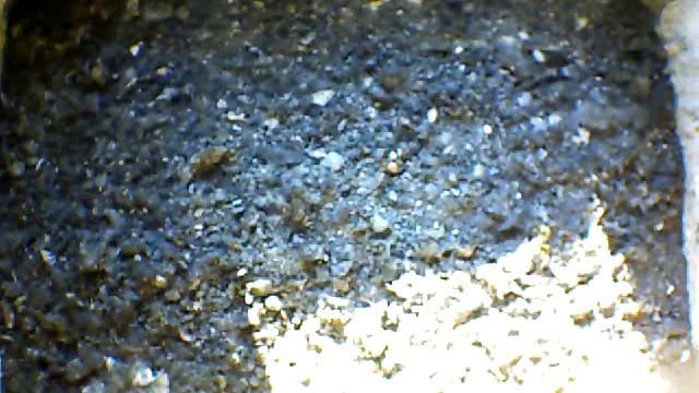 From Internet Camera(Turmfalken[03:1A:A5])2014/06/26,19:11:28_D смотреть онлайн