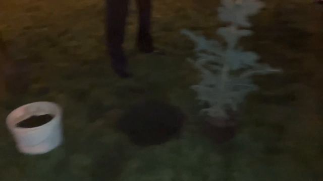 В честь 5 летия музея «Россия моя история» в Краснодаре высадили дерево в День народного единства! смотреть онлайн