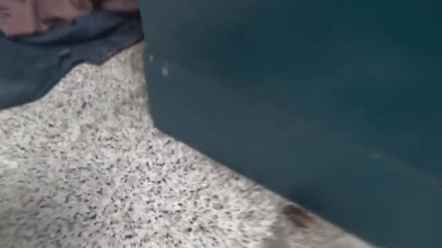 Рим и сложности в аэропорту. смотреть онлайн