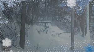 Вьюга-Сёстры Богдановы