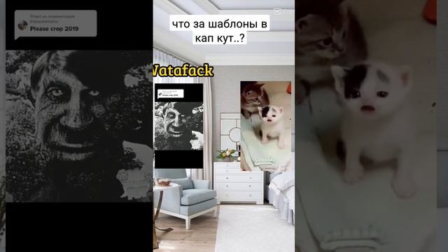 Шаблон в кап кут смотреть онлайн