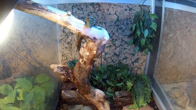 Ярославский зоопарк. смотреть онлайн