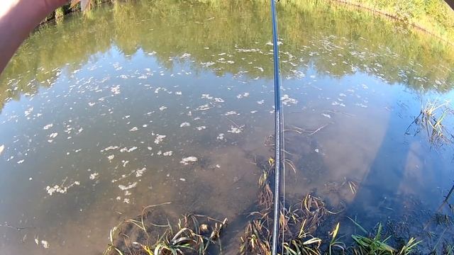 Челсма  06 09 2020