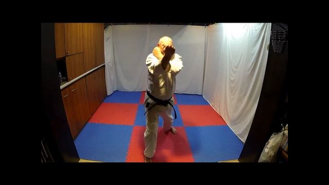 Akiyama karate : online training 16 - 11/12/2020 смотреть онлайн