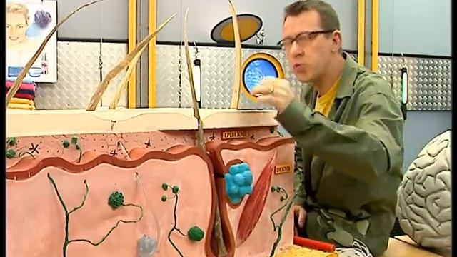 Quelles sont les différentes couches de la peau? - C'est pas sorcier смотреть онлайн