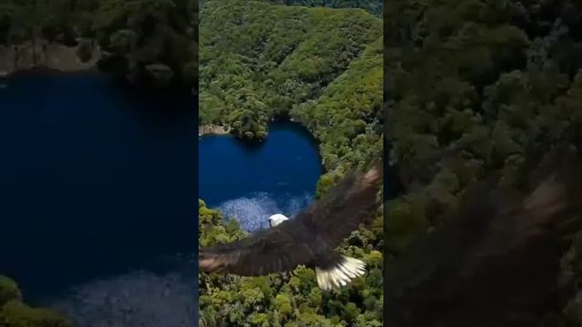 Куда идём,куда бежим...🚶🏃🪂🏇🚴🏂 смотреть онлайн