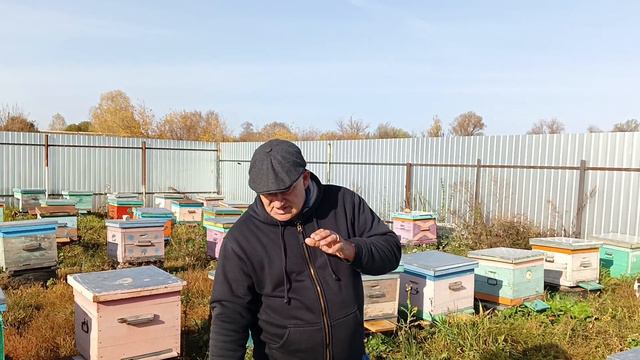 Почему нужно оставлять воск в зиму пчеле смотреть онлайн