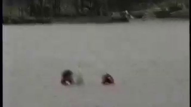 Hafner, Bob Ozarks Skiing Aug 1994 смотреть онлайн