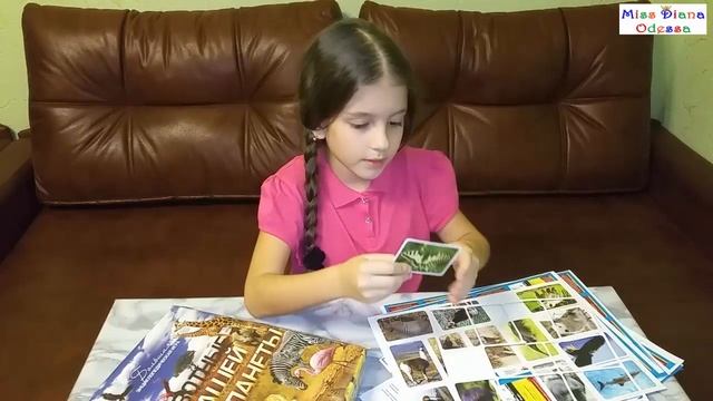 Обзор - Настольная игра Животные нашей планеты смотреть онлайн