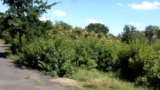 Поездка в Украину. Часть.3. Криворожский ботанический сад и сам Кривбасс. смотреть онлайн