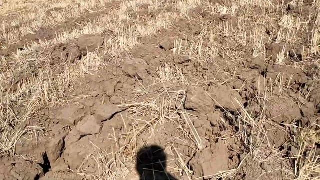 Проведение глубокой обработки почвы (зябь) орудием ПГ-3-5, на 25-27 см в 2021 году (в р-не г. Есиль смотреть онлайн