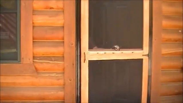 Ghost Recon Meets Call Of Duty Black ops смотреть онлайн