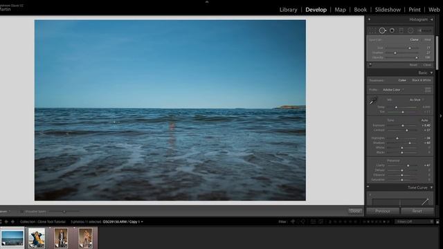 How to use the CLONE TOOL in LIGHTROOM смотреть онлайн