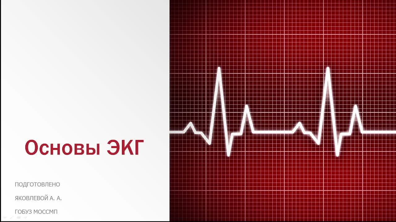 Основы ЭКГ