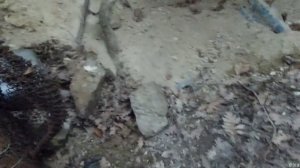 Геленджикский феномен. Спуск в Пещеру Страха. Эксклюзивное видео ! Впервые в открытом доступе !