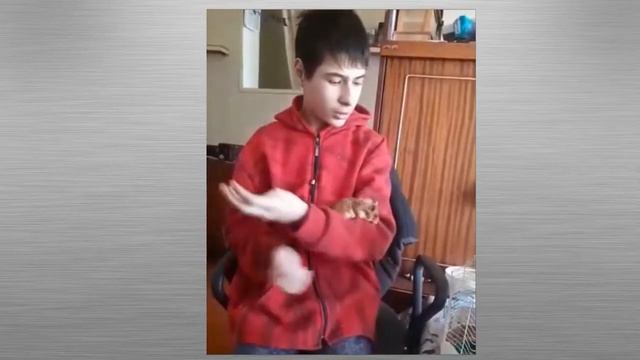 Мой домашний питомец. Проект. смотреть онлайн