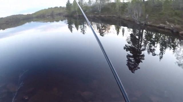 ТУНДРОВОЕ ОЗЕРО С ОКУНЯМИ / TUNDRA LAKE WITH PERCH смотреть онлайн