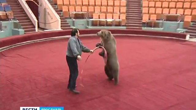 Ярославский цирк готовит новую программу смотреть онлайн