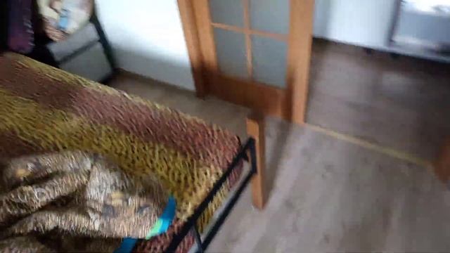 Кот Тихон приехал из ветеринарной клиники смотреть онлайн