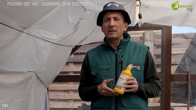 Все перцы объели за ОДНУ ночь?! Главные вредители перцев! Обработки от тли, белокрылки и совки смотреть онлайн