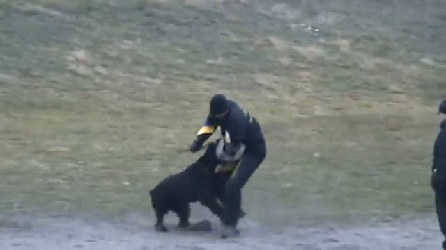 Sharpshooter IPO-3(C90)