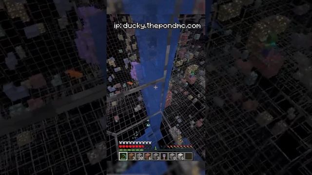 X-Ray CHEATING in My SMP смотреть онлайн