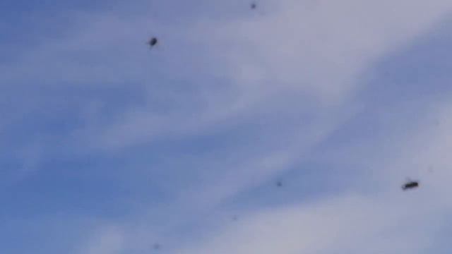 5 апреля! Полетели! смотреть онлайн