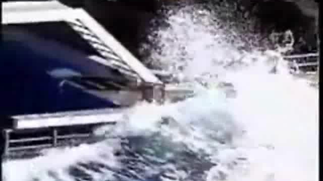 Касатка и человек !!! смотреть онлайн