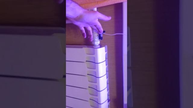 Альтернатива открытым окнам смотреть онлайн