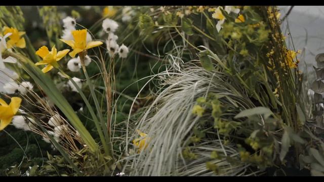 Relax Music  Meditation  Calm Music On Spring #relaxmusic #softmusic #chillmusic