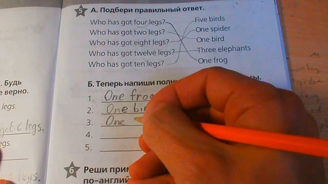 гдз 2 класс starlight звездный английский сборник упражнений модуль 5 упр 5 смотреть онлайн