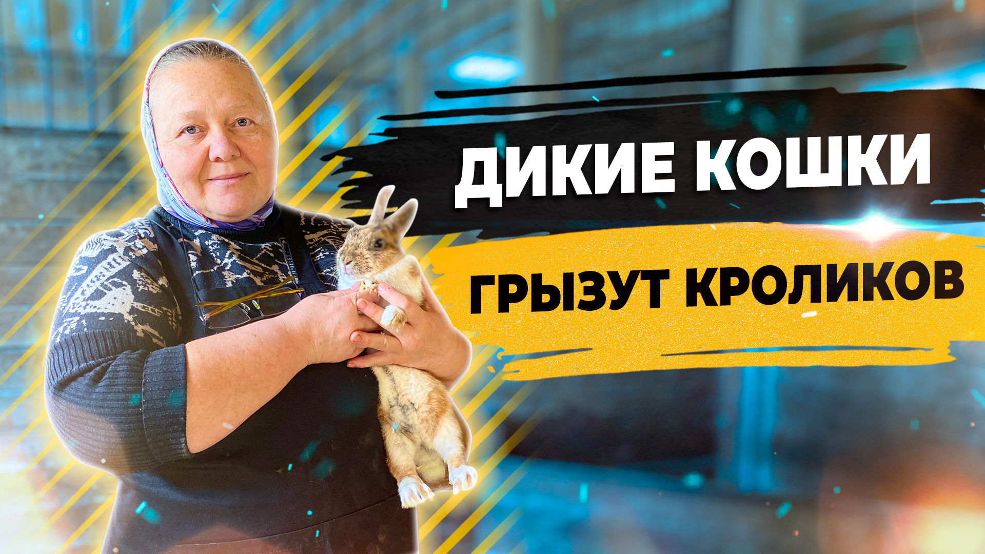 Как содержать кроликов? Скоро будет катание на пони в Подмосковье. смотреть онлайн