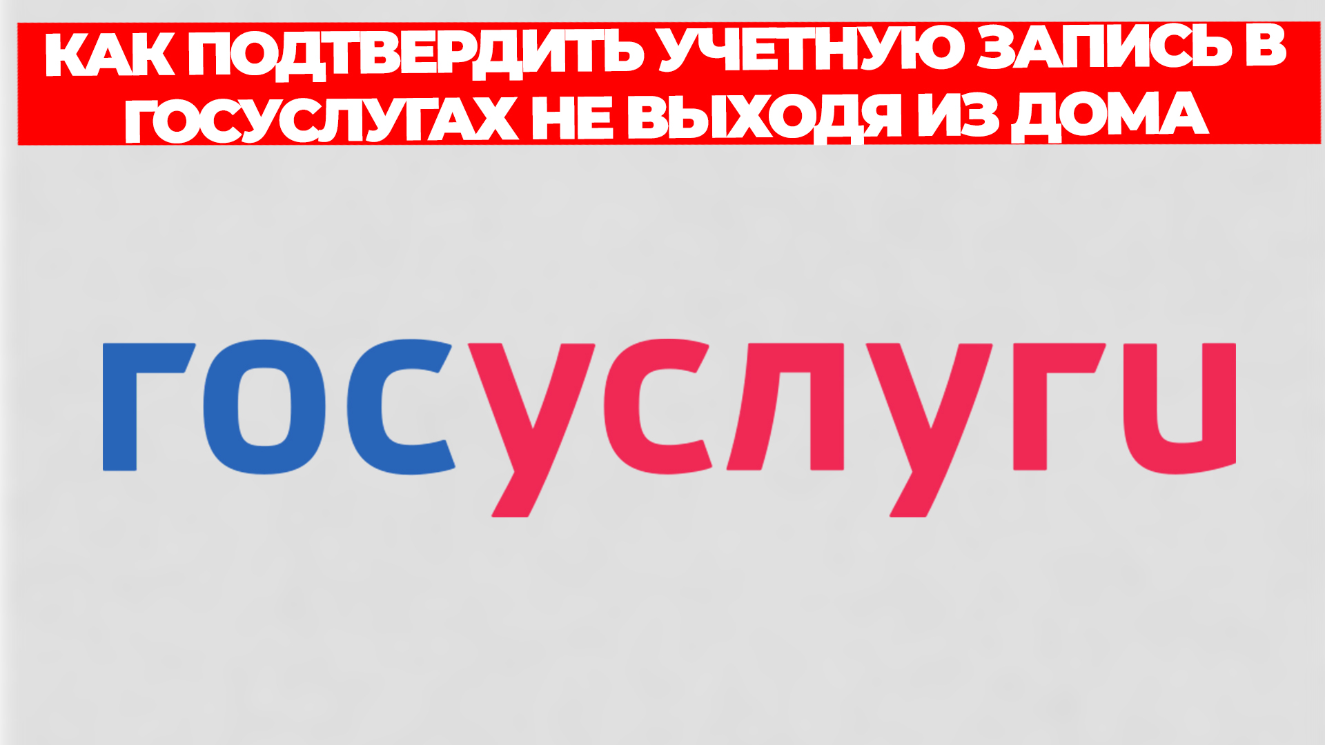 Всезнающий Енот