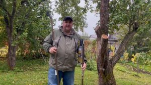 Одни из самых мощных! Секатор Caiman ручной садовый дальней досягаемости. #обрезкадеревьев