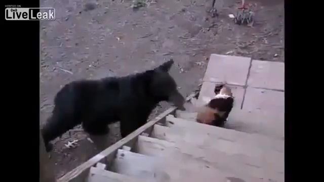 Миша, отвали! смотреть онлайн