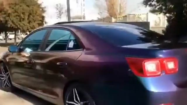 Malibu 1 Hameleon ❤️ смотреть онлайн