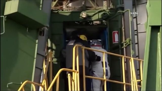 If Space Travel Causes Brains to Expand, Humans May Need Alien Skulls смотреть онлайн