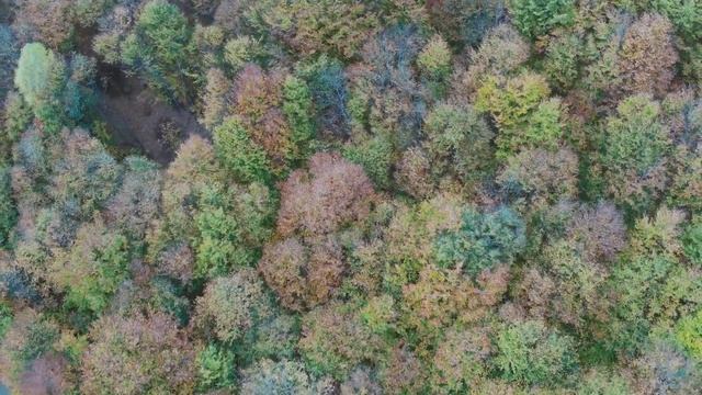 Сын выпнул мать из квартиры по требованию жены как собачонку. Но это был еще не конец смотреть онлайн
