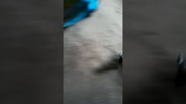 Arsinoitherium vs American Bison смотреть онлайн