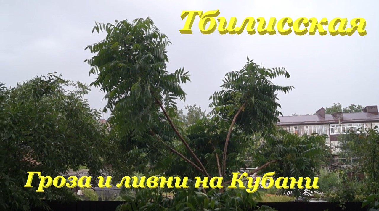 Гроза и ливни на Кубани⛈ / Наш День Защиты Детей? / Тбилисская смотреть онлайн