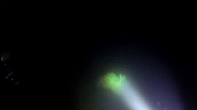 northern light vs lightmonkey смотреть онлайн