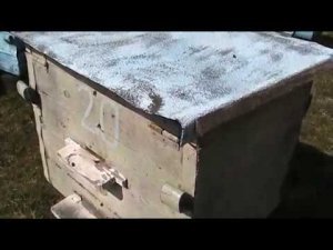 НАПАДЕНИЕ МУРАВЬЁВ НА УЛЬИ. ЧТО ДЕЛАТЬ?