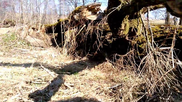 плотина в деревне смотреть онлайн