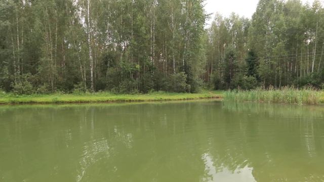 НЕ ПОНЯЛА КНИГУ? НЕ НАШЛА ПОГАНКУ? НЕ ОБРЕЛА СЧАСТЬЯ? || МАРАФОН 3 ДНЯ ЧТЕНИЯ || ДЕНЬ 2 смотреть онлайн
