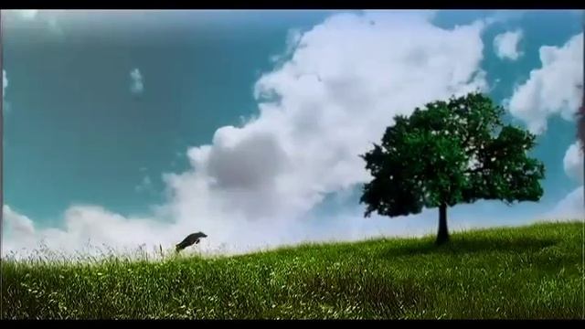 PROPLAN-I Like To Run.mov смотреть онлайн